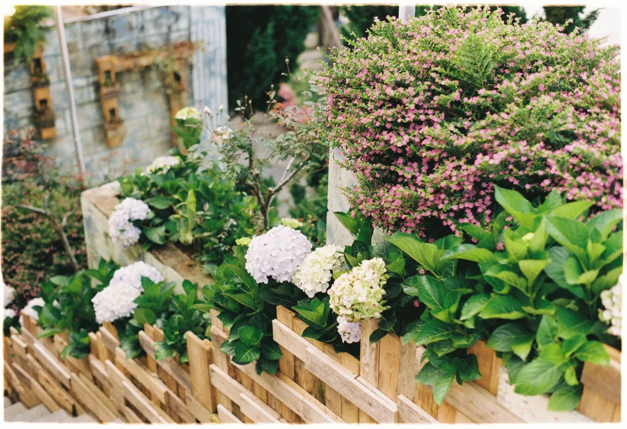 Common Garden And Landscape Upkeep Mistakes Dubai Owners Make