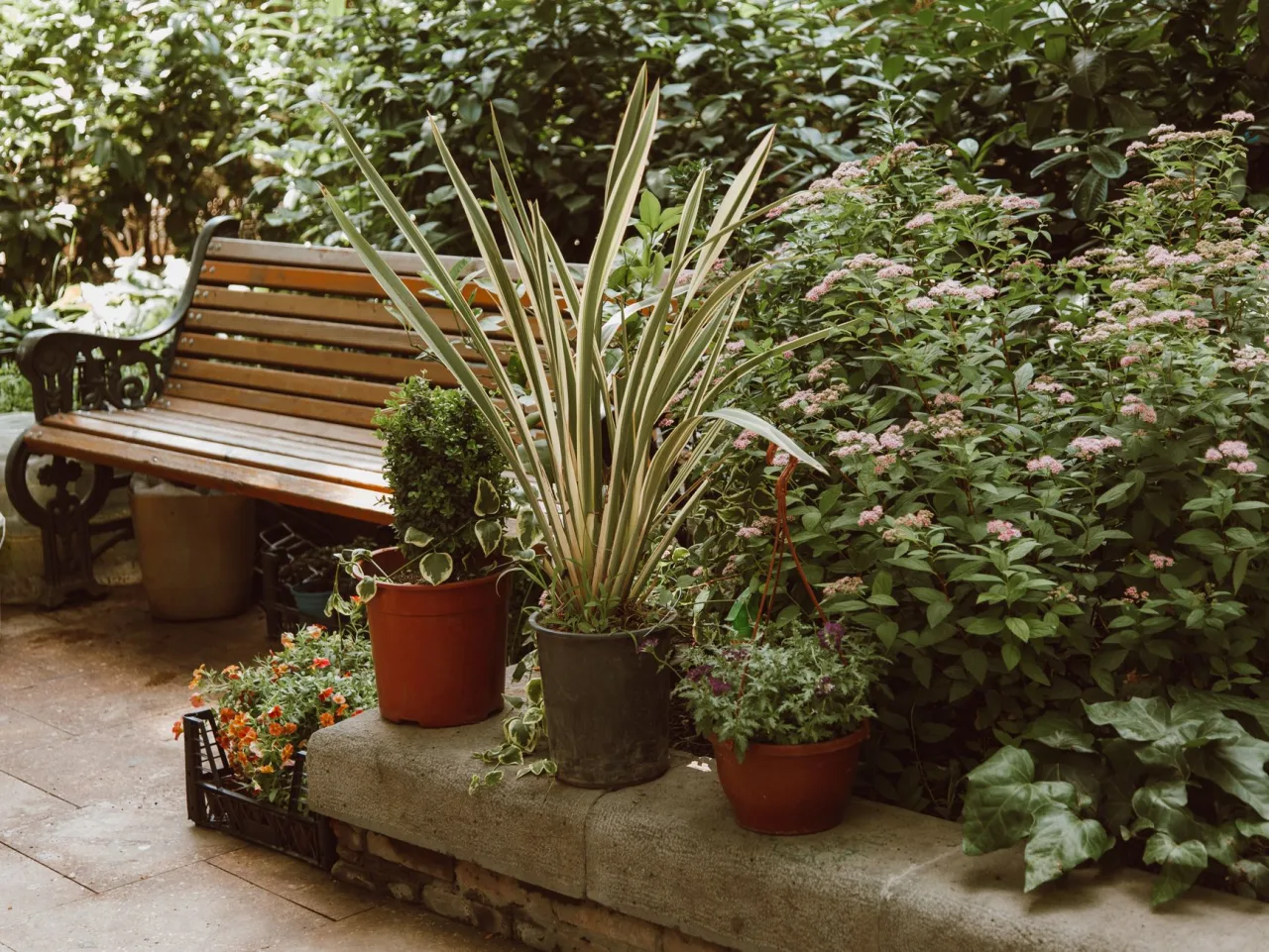 How Much Does Garden And Landscape Upkeep Cost in Dubai?