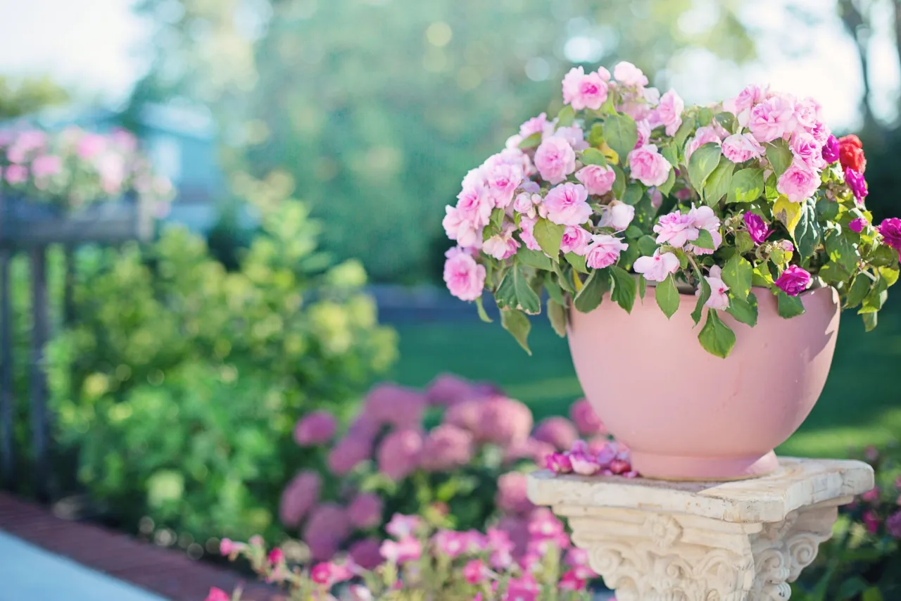 How Often Should You Service Garden And Landscape Upkeep in Dubai?