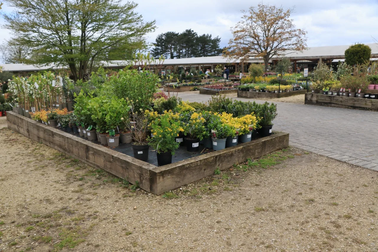 Landscaping for Dubai Summer: Drought-Tolerant Plant Selection