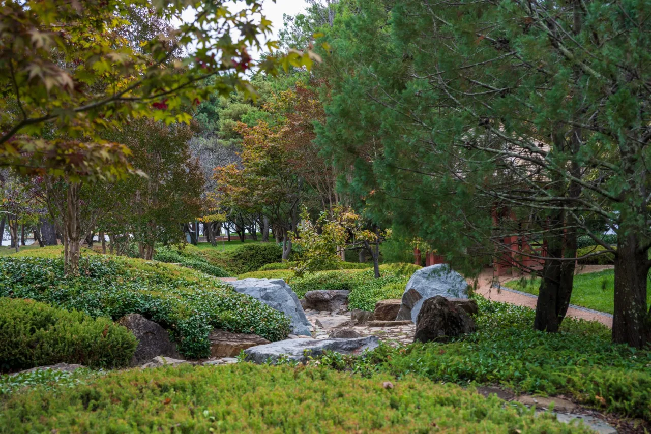 Preparing Your Garden And Landscape Upkeep for Dubai Summer