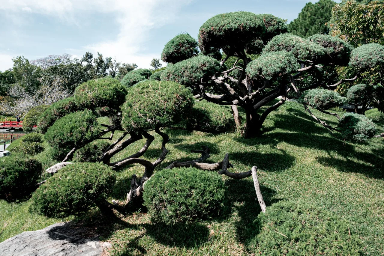Your Garden And Landscape Upkeep Checklist for Dubai Properties